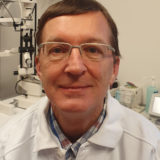 Prof. Dr Thomas KRZIZOK